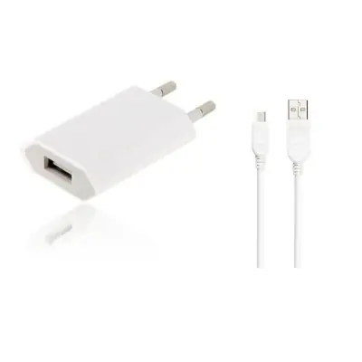 Charger for Samsung Galaxy S10 Plus - Desktop USB Wall Charger